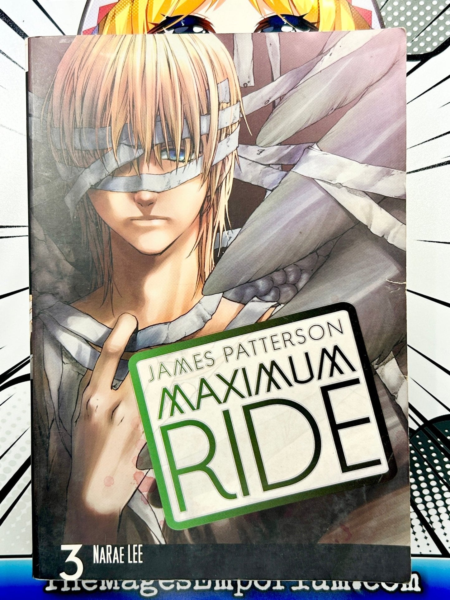 Maximum Ride Vol 3