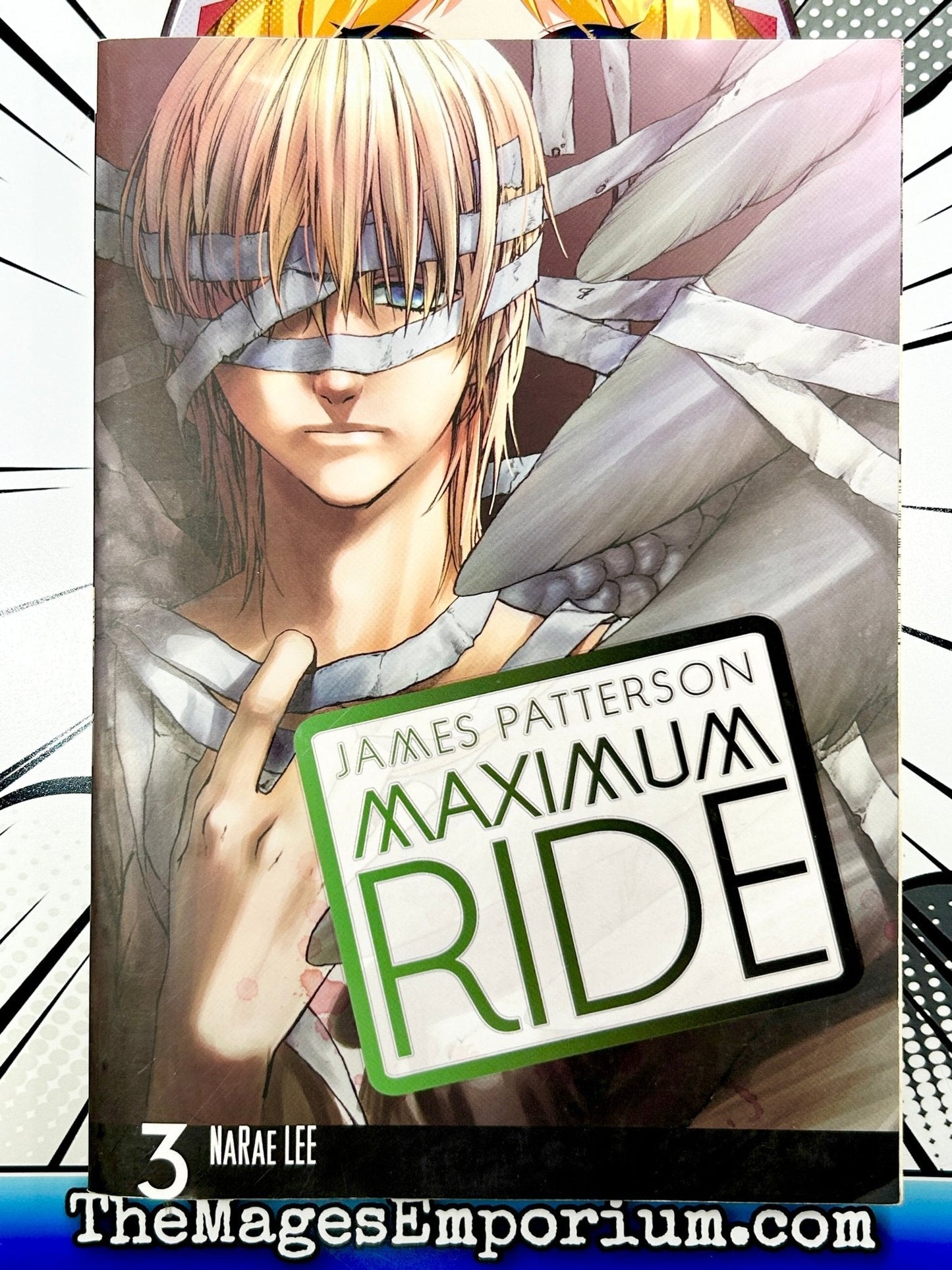 Maximum Ride Vol 3