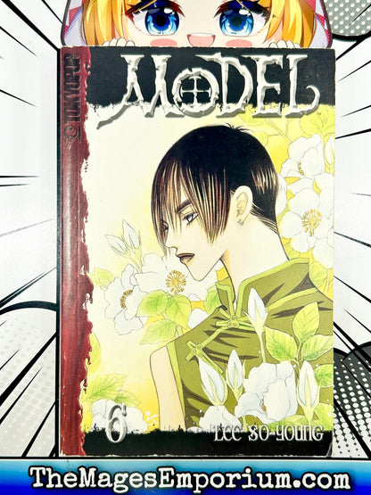 Model Vol 6