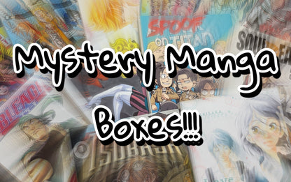 Mystery Manga Box - English Mixed Manga