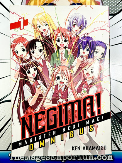 Negima Omnibus Vol 1