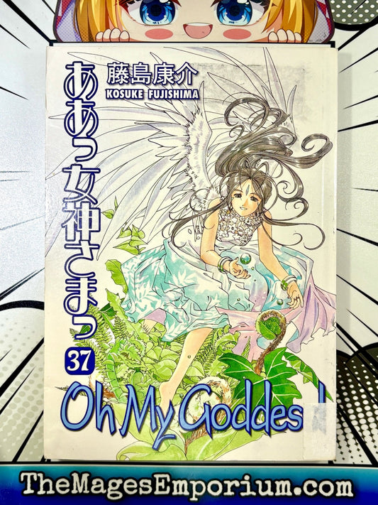 Oh My Goddess Ex Library Vol 37