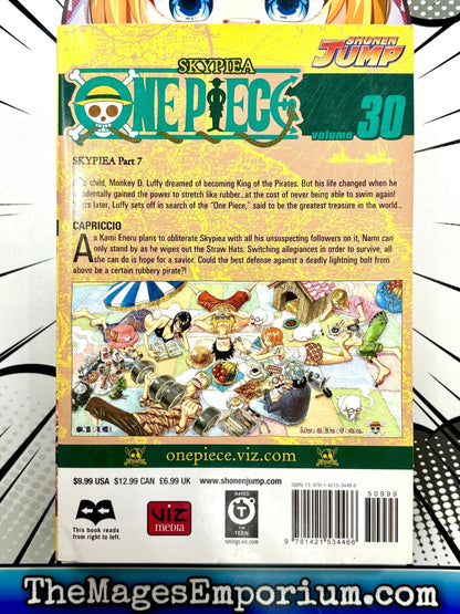 One Piece Vol 30