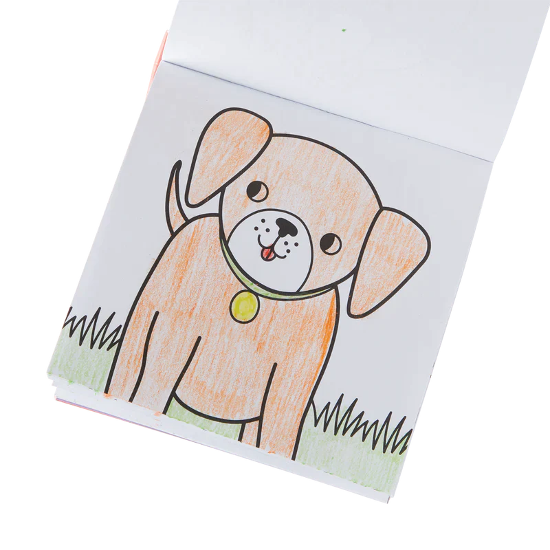 Carry Along Crayon & Coloring Book Kit-Pet Pals