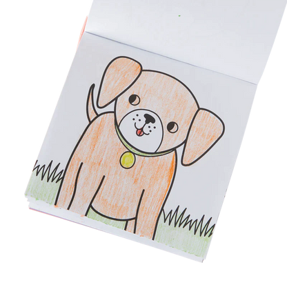 Carry Along Crayon & Coloring Book Kit-Pet Pals