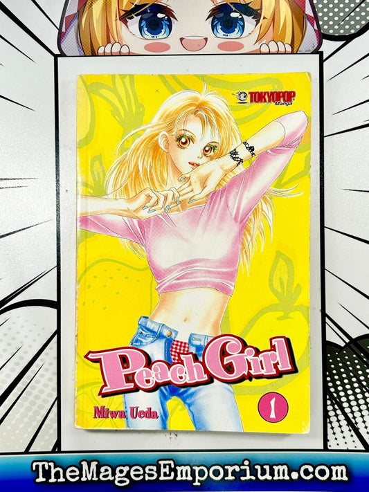 Peach Girl Vol 2 Small Size