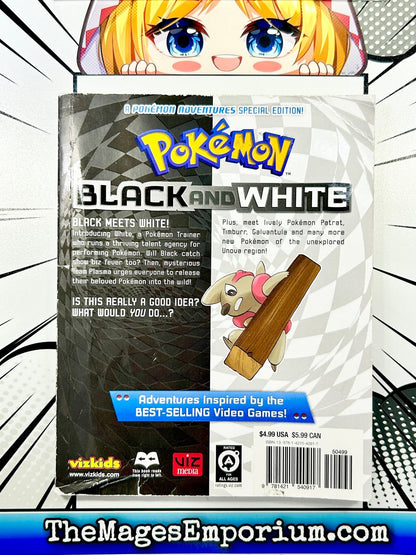Pokemon Black and White Vol 2