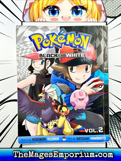 Pokemon Black and White Vol 2