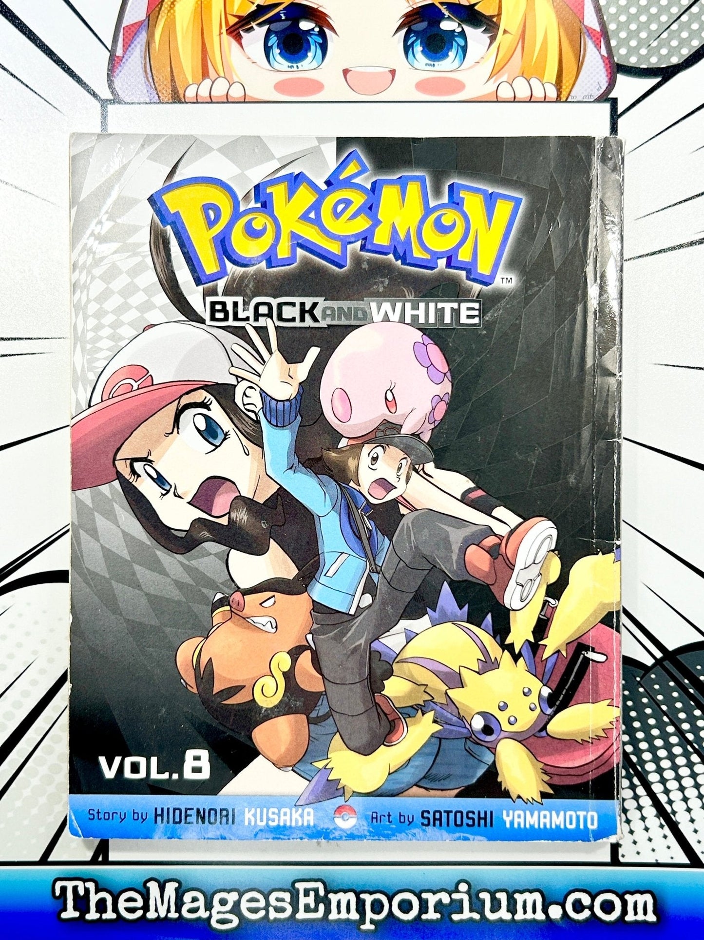 Pokemon Black and White Vol 8