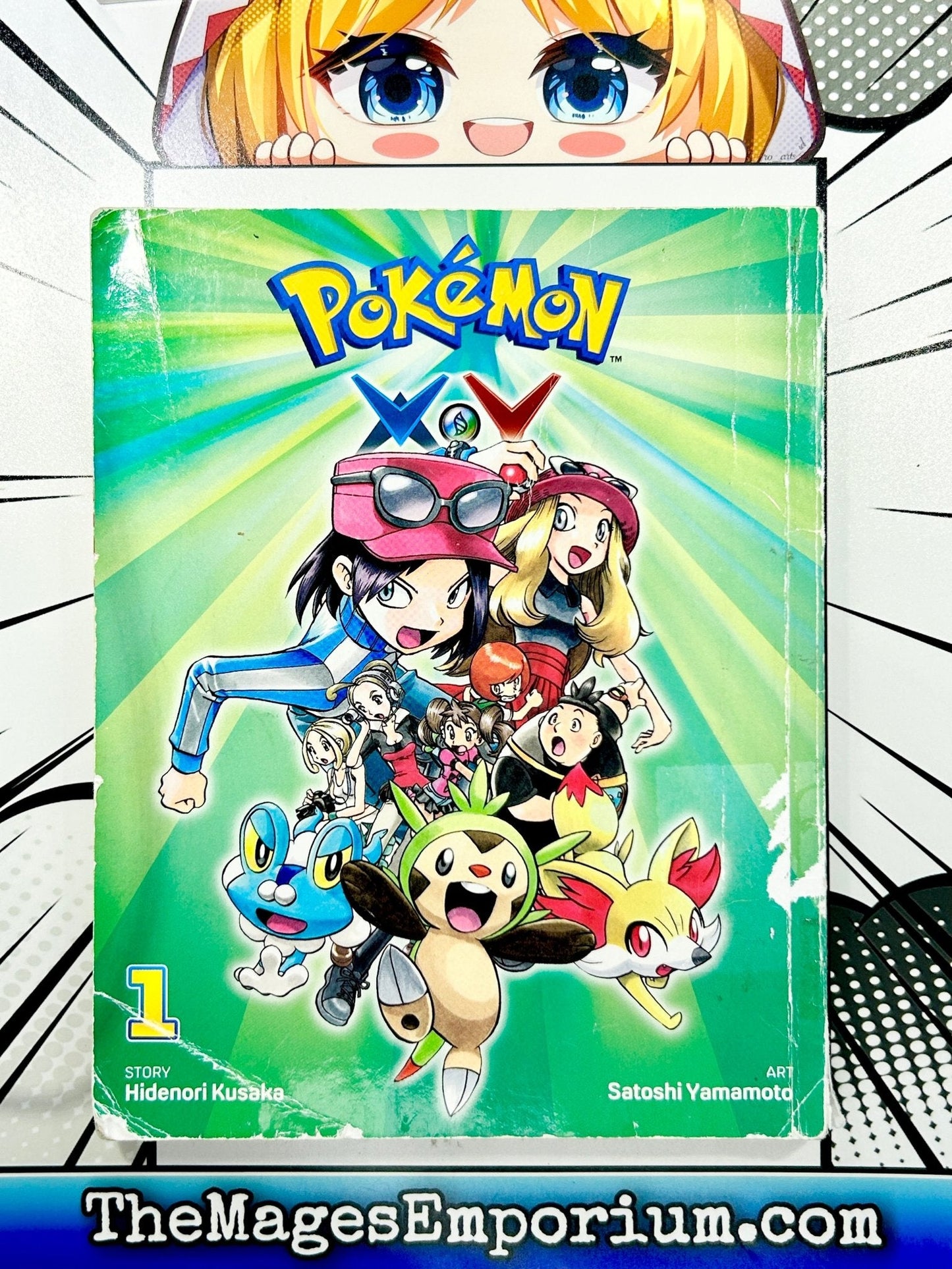 Pokemon X Y Vol 1 Ex Library