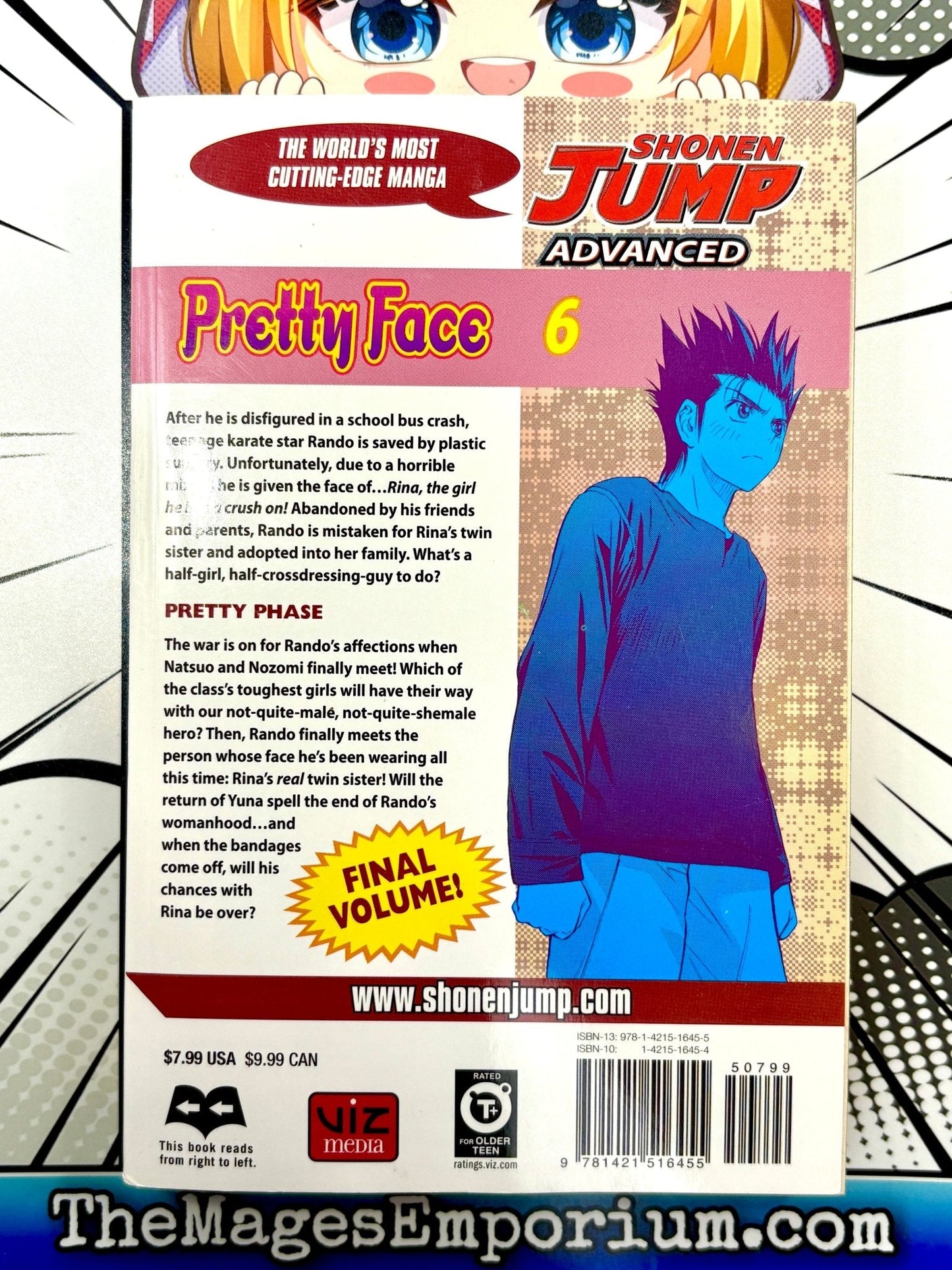 Pretty Face Vol 6