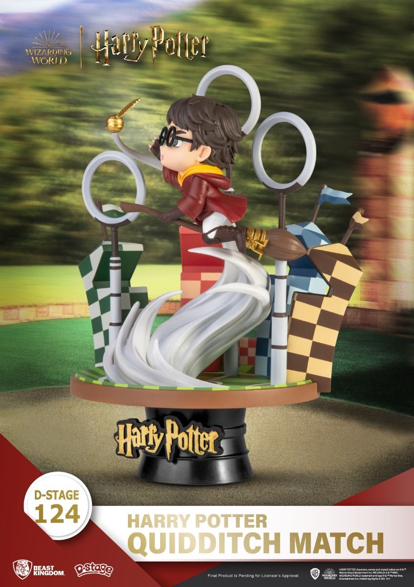 Harry Potter, Quidditch Match