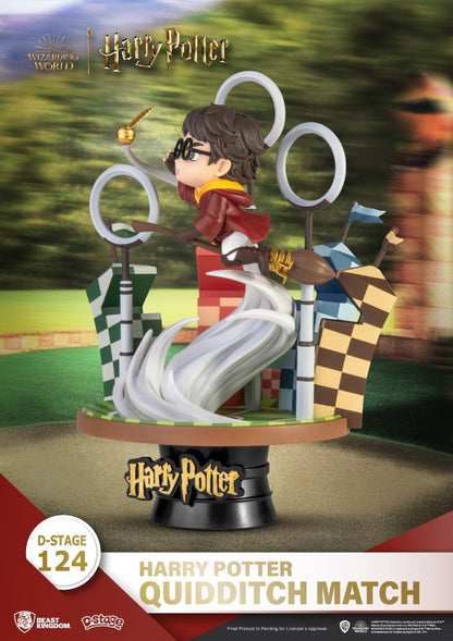 Harry Potter, Quidditch Match