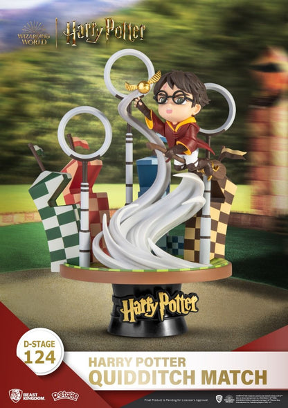 Harry Potter, Quidditch Match