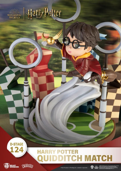 Harry Potter, Quidditch Match