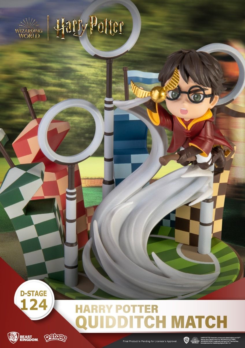 Harry Potter, Quidditch Match