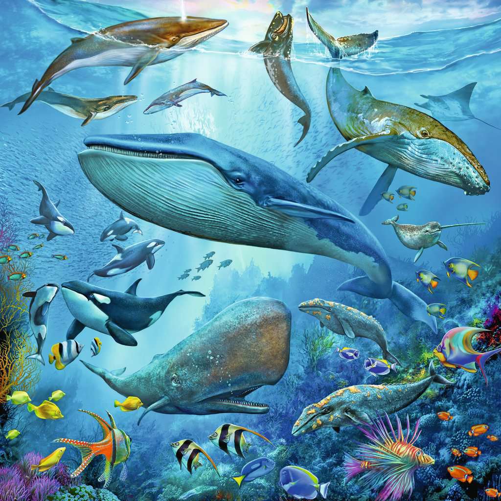 Animal World of the Ocean - 3x49 Piece Puzzle