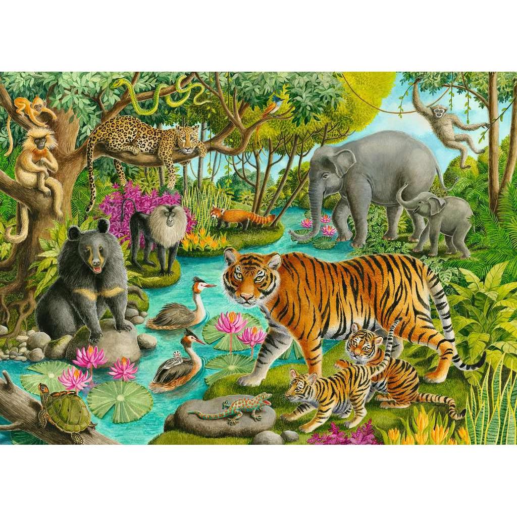 Animals of India 60 Piece Puzzle