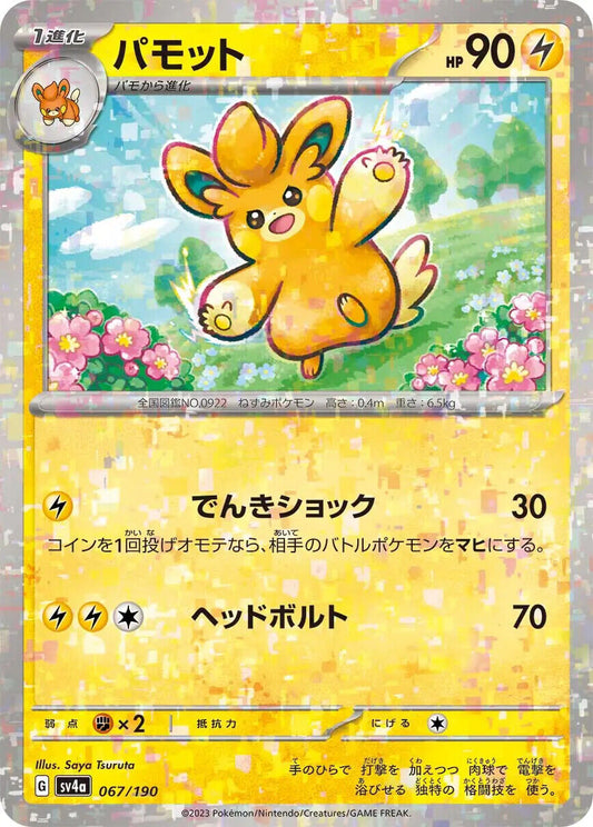 Pawmo Reverse Holo (067/190) [Shiny Treasure ex]