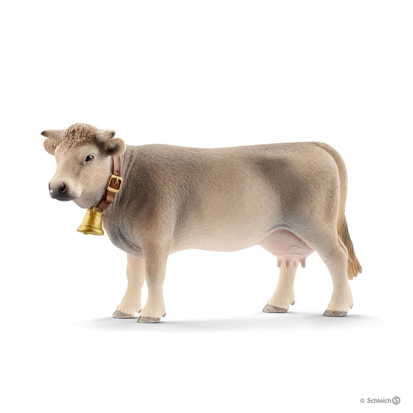 Braunvieh Cow