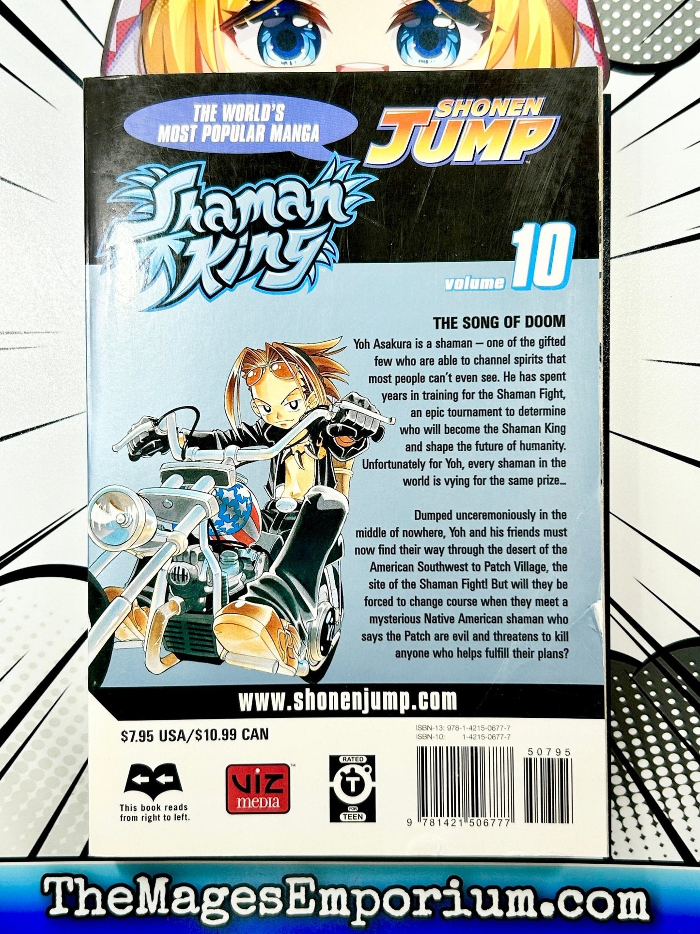 Shaman King Vol 10