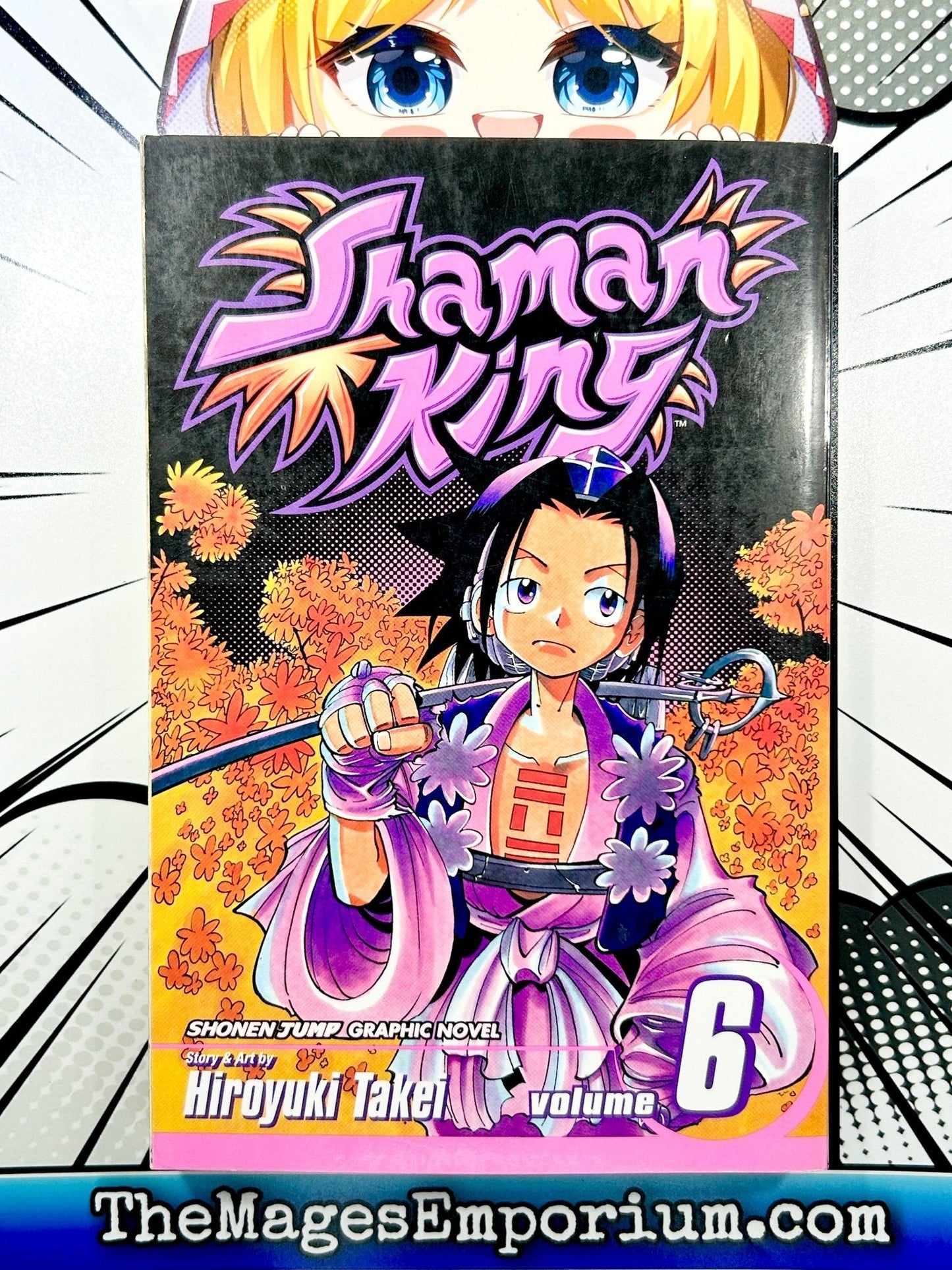 Shaman King Vol 6