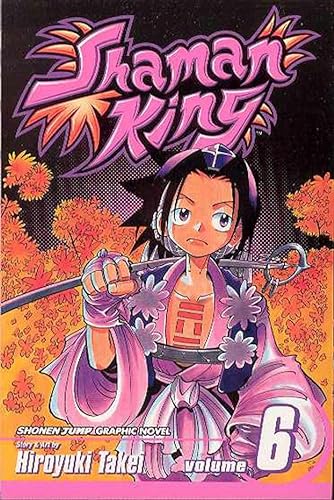 Shaman King Vol 6