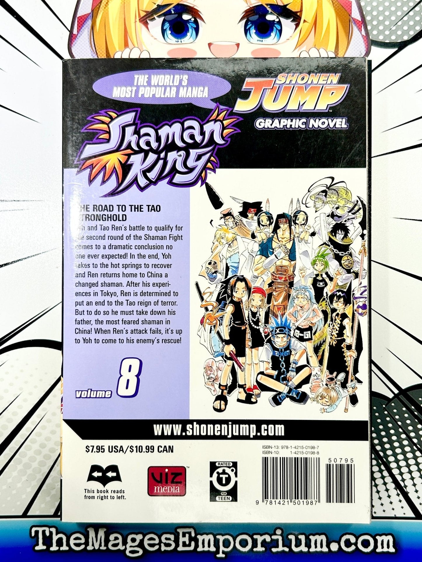 Shaman King Vol 8