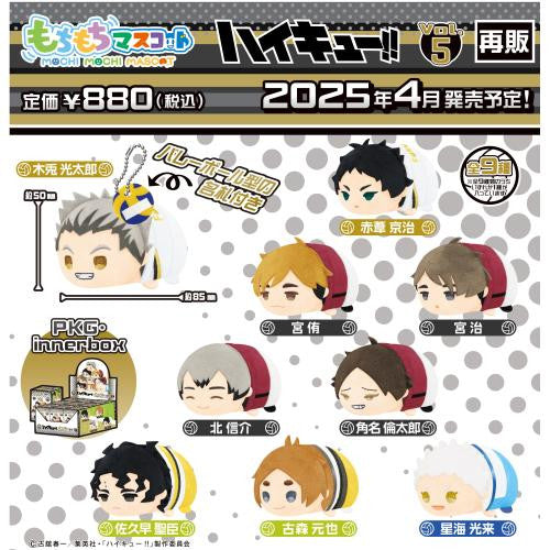 Haikyuu!! Mochi Mochi Mascot Vol.5 Blind Box – SK Japan