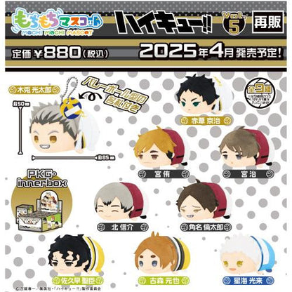 Haikyuu!! Mochi Mochi Mascot Vol.5 Blind Box – SK Japan