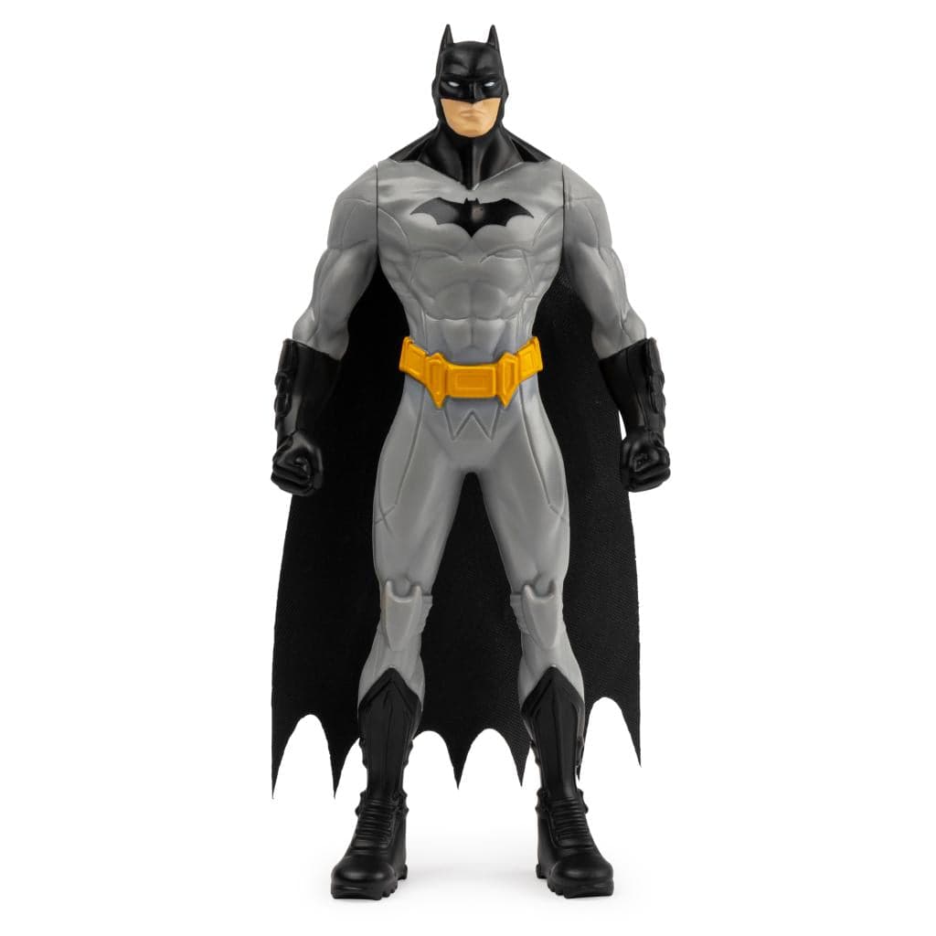 Batman 6" Action Figure Series