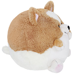 Squishable Corgi (Standard)