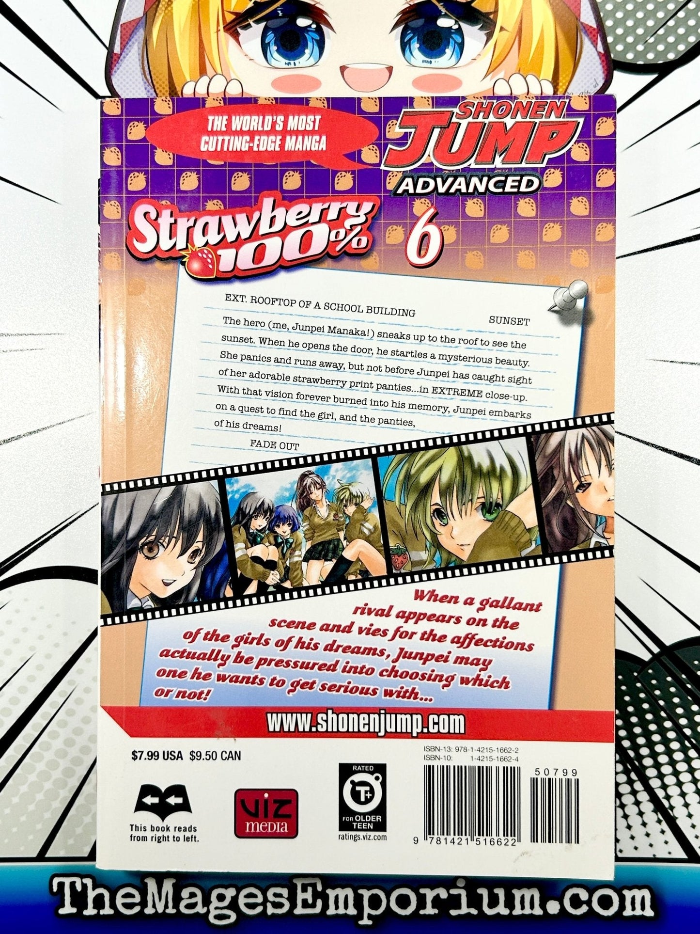 Strawberry 100% Vol 6