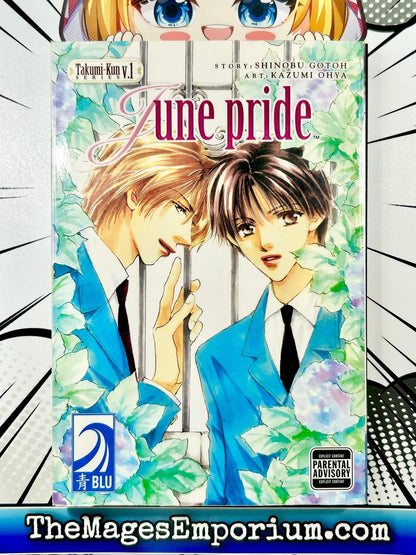 Takumi-Kun Series Vol 1 June Pride