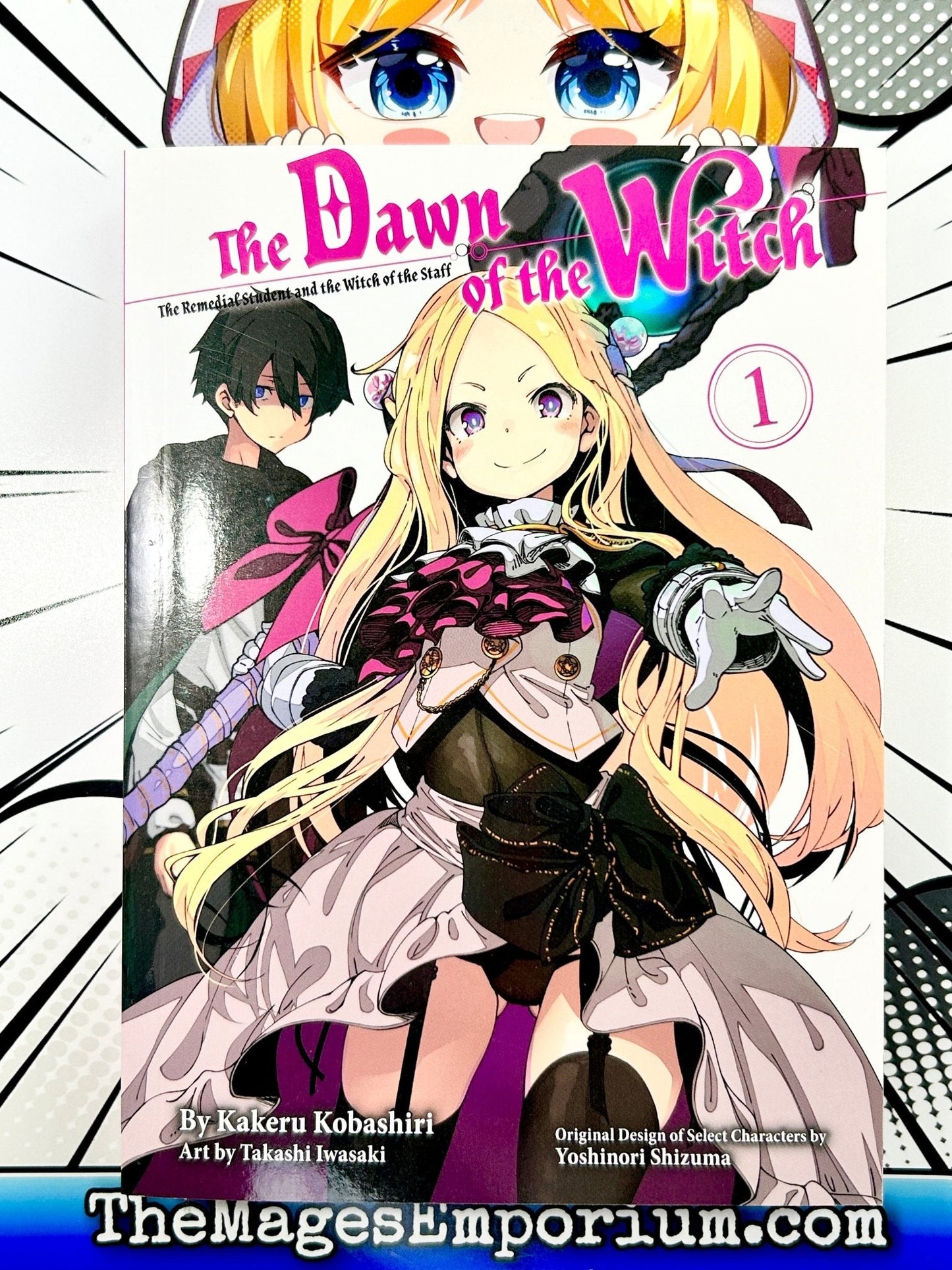 The Dawn of the Witch The Remedial Student and the Witch of the Staff Vol 1 Light Novel