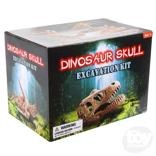 6.5" Dinosaur Skull Excavation Dig Kit T-Rex