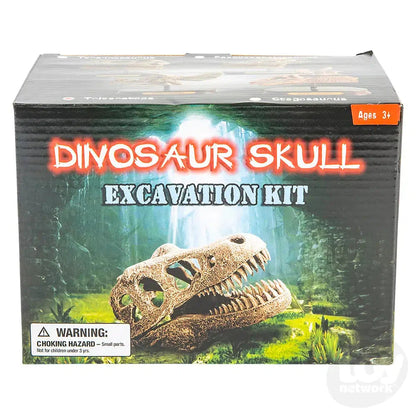 6.5" Dinosaur Skull Excavation Dig Kit Triceratops