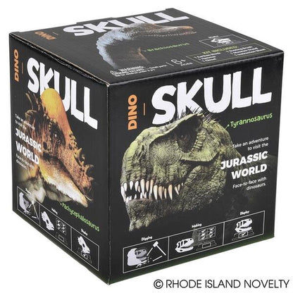 6.5" Dinosaur Skull Excavation Dig Kit Velociraptor