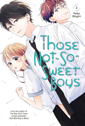 Those Not-So-Sweet Boys Vol 3