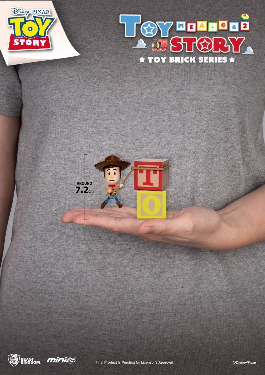 Toy Story: Toy Brick Series