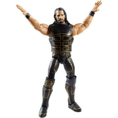 WWE Seth Rollins Fan TakeOver Elite Collection Action Figure
