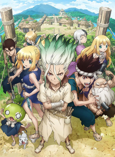 Dr. Stone Wallscroll