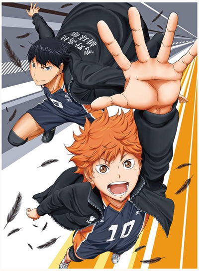 Haikyuu! Wallscroll