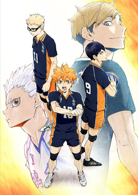 Haikyuu! Wallscroll