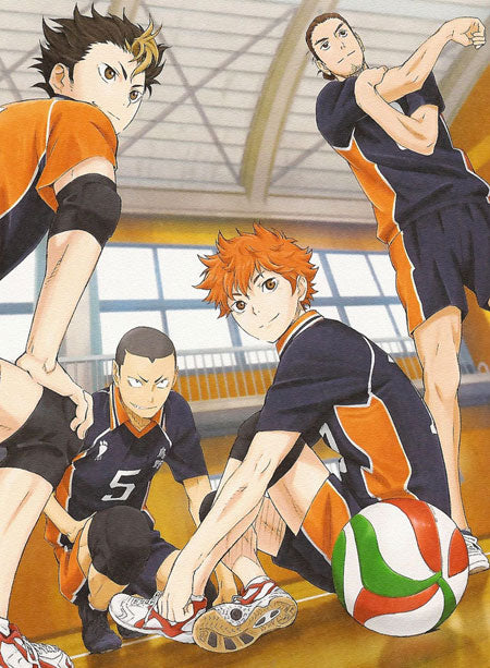 Haikyuu! Wallscroll