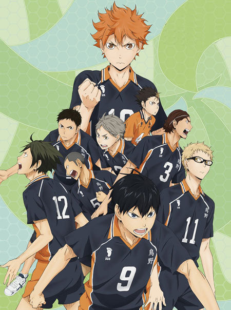 Haikyuu! Wallscroll